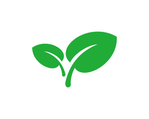 Leaf icon symbol vector