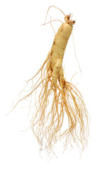 ginseng isolated on white background