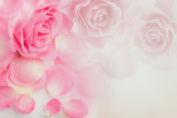 Sweet color roses in soft style for background. Valentine's concept - Image