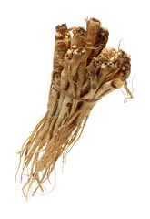 bellflower (Platycodon grandiflorus) isolated against a white background