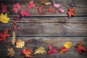 autumn leaves on darrk old wooden background