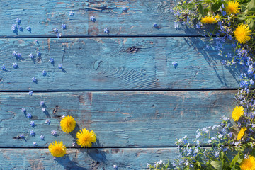 Fototapeta premium blue and yellow flowers on old wooden background