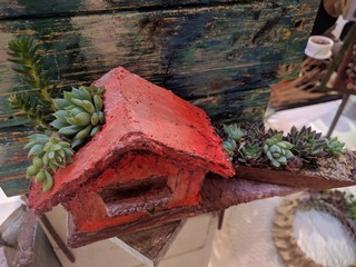 Fototapeta na wymiar wooden red house and succulents with a rustic feel 