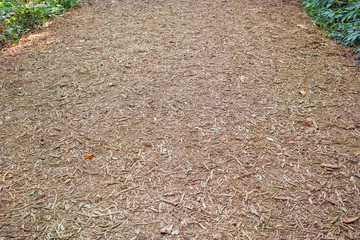 ウッドチップが敷かれた遊歩道の表面