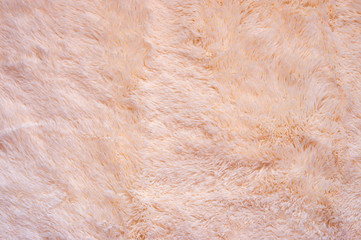 Shaggy fur texture - 293503898