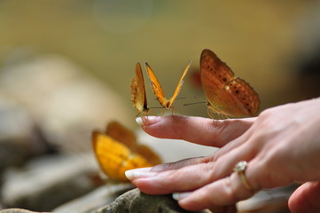 Natural tiger ghost on hands