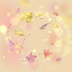 Obraz na płótnie Canvas Flying Autumn Leaves