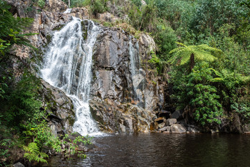 Fototapeta na wymiar Steavenson River Valley near Marysville in Victoria, Australia.