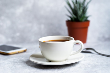 cup of сoffee and sucсullent plant on grey background