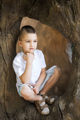 thinking toddler boy with modern haircut wearing shorts and white shirt sitting in the tree
