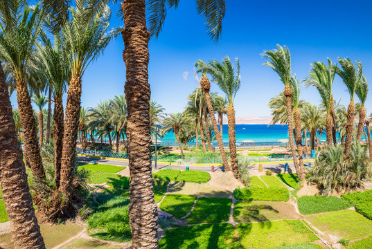 Gardening AreaAl Ghandour Beach in Aqaba