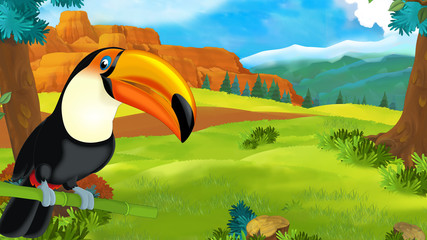 Obraz na płótnie Canvas cartoon scene with happy toucan sitting on some branch and looking - illustration for children