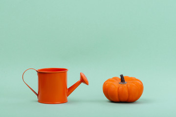 Pumpkins over neo mint background. Autumn, Halloween concept.Copy space for text.