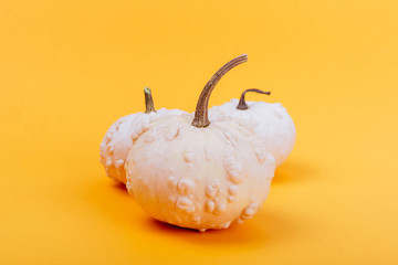 Halloweeen theme with a pumpkins on a yellow background