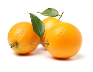 Orange fruit on the white background