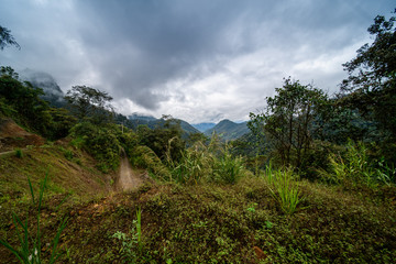 Mashpi Ecological Reserve, Ecuador, Highlands, Cloud Forest