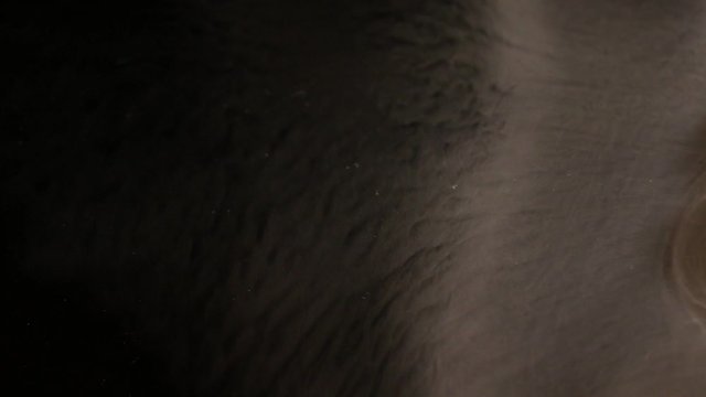 Dark graphic background in which a grayish fog flows