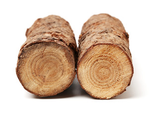 Pine logs on white background