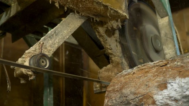 A low angle view of removing the bark from a log of wood with electric and automated saw machine at wood processing mill.