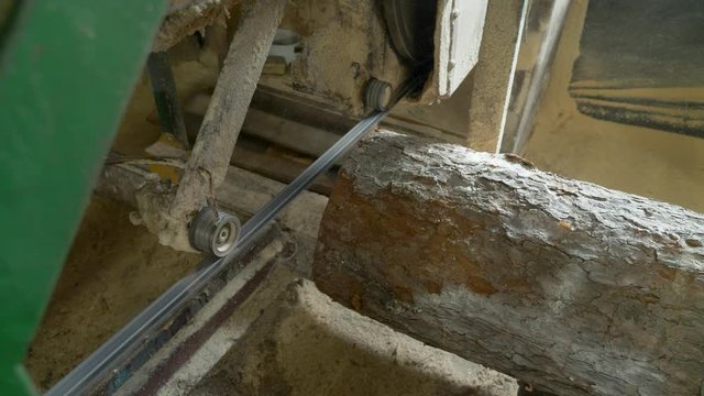 A close up view of an sawmill machine, processing a log of wood at a wood processing mill.A static footage.(1)