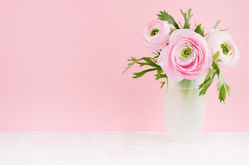 Gente pastel pink ranunculus flowers in elegant frosted white vase on soft light white wood board and pink wall, copy space.