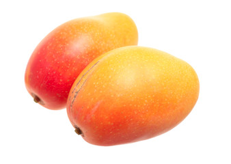 Mango on a white background