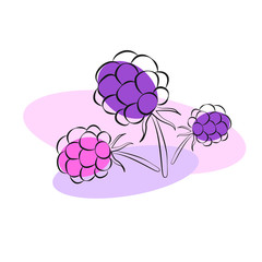 Illustration raspberry, BlackBerry, black outline, pink and purple berries. Logo.