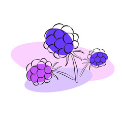 Vector illustration raspberry, BlackBerry, black outline, pink and purple berries. Logo.