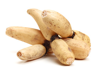 Lotus root on the white background