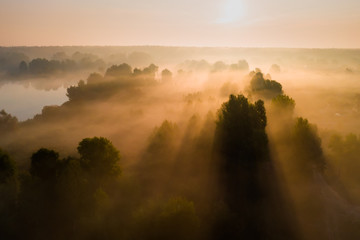Fototapeta premium Beautiful misty dawn over the trees. Aerial view.