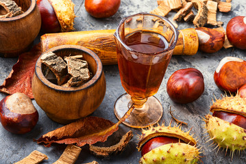 Chestnut in herbal medicine