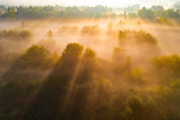 Beautiful misty dawn over the trees. Aerial view.
