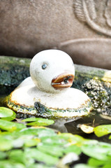 Duck ceramic in the water
