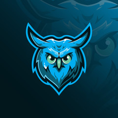 Fototapeta premium owl mascot logo design vector with modern illustration concept style for badge, emblem and tshirt printing. angry owl head illustration.