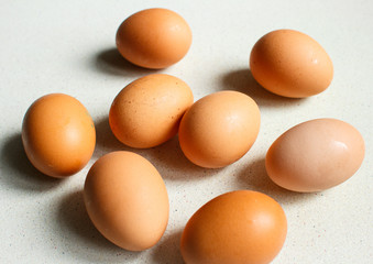 Chicken eggs isolated on white background.