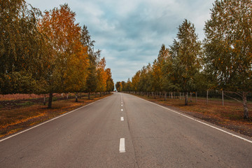 Fototapeta premium Countryside road, way in autumn day