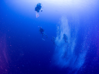 パラオ_ペリリュー_スキューバダイビング