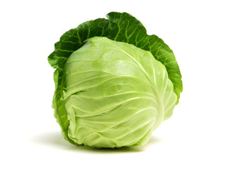 cabbage on white background