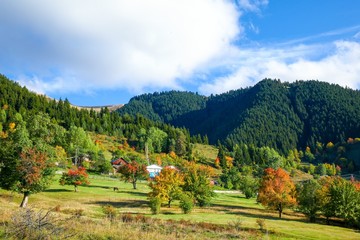 Fototapeta na wymiar Amazing golden autumn colors in the forest path track.artvin/turkey