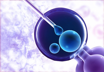 vitro fertilization. medical background. 3d illustration .