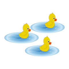 Three Ducklings in Water - Cartoon Vector Image