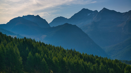 Forest in foreground and italian mountains in background, end of summer season