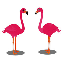 Pink Flamingoes - Cartoon Vector Image