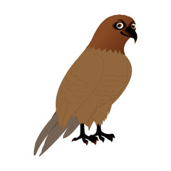 Kite Bird - Cartoon Vector Image