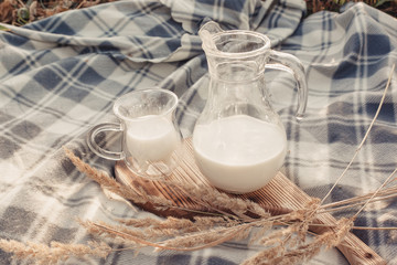 Carafe and a glass with milk on a wooden tray. Picnic in the meadow. Ears of wheat, rye