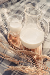 Carafe and a glass with milk on a wooden tray. Picnic in the meadow. Ears of wheat, rye