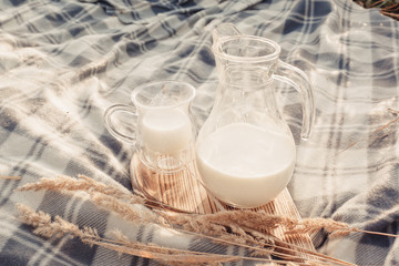 Carafe and a glass with milk on a wooden tray. Picnic in the meadow. Ears of wheat, rye
