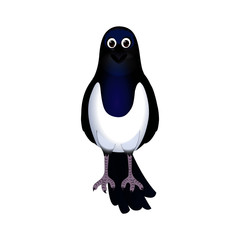 Magpie Frontal View - Cartoon Vector Image