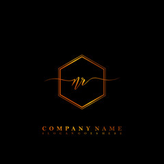 Fototapeta na wymiar NR Initial luxury handwriting logo vector