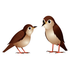 Brown Nightingale Birds - Cartoon Vector Image